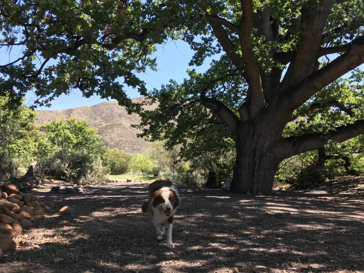 Willa Simonskloof Mountain Retreat Montagu Zewnętrze zdjęcie